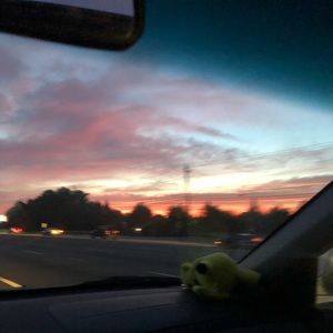 Meet your Posher, Chase